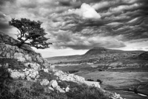 Inglebrough from Twistleton